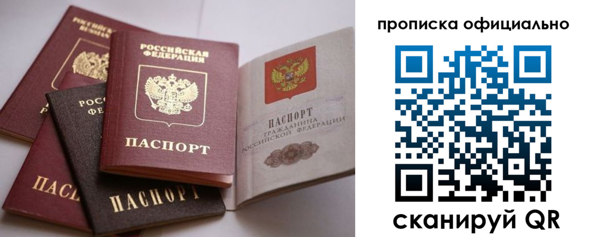 временная регистрация поиск в Снежногорске